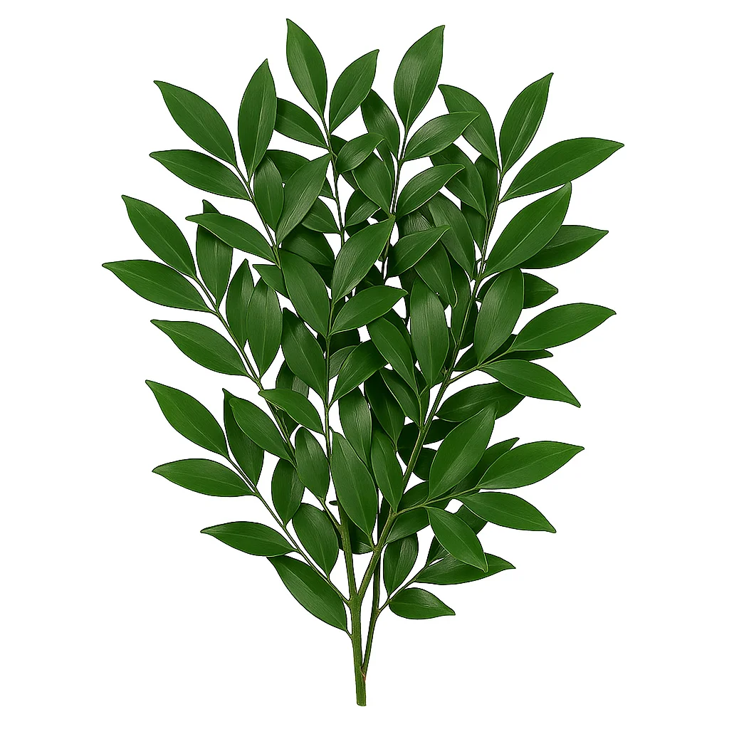 <p><span><span>What plant is this? (Name, Genus)</span></span></p>