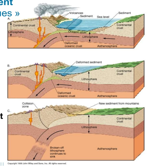 <p><span style="font-family: "Calibri", sans-serif;"><span>-</span></span><span style="font-family: "Times New Roman"; line-height: normal; font-size: 7pt;"><span>&nbsp;&nbsp;&nbsp;&nbsp;&nbsp;&nbsp;&nbsp;&nbsp;&nbsp; </span></span>stade 1: marge continental active style Andes</p><p class="MsoListParagraphCxSpMiddle"><span style="font-family: "Calibri", sans-serif;"><span>-</span></span><span style="font-family: "Times New Roman"; line-height: normal; font-size: 7pt;"><span>&nbsp;&nbsp;&nbsp;&nbsp;&nbsp;&nbsp;&nbsp;&nbsp;&nbsp; </span></span>stade 2: fermeture de l'océan par subduction complète de son plancher</p><p class="MsoListParagraphCxSpLast"><span style="font-family: "Calibri", sans-serif;"><span>-</span></span><span style="font-family: "Times New Roman"; line-height: normal; font-size: 7pt;"><span>&nbsp;&nbsp;&nbsp;&nbsp;&nbsp;&nbsp;&nbsp;&nbsp;&nbsp; </span></span>stade 3: collision continentale, épaississement de la croute continentale, chaine de montagne volcanique (Alpes, Himalaya) <span><span>à</span></span> plaque océanique inférieure subduite se détache ("slab break-off")</p>