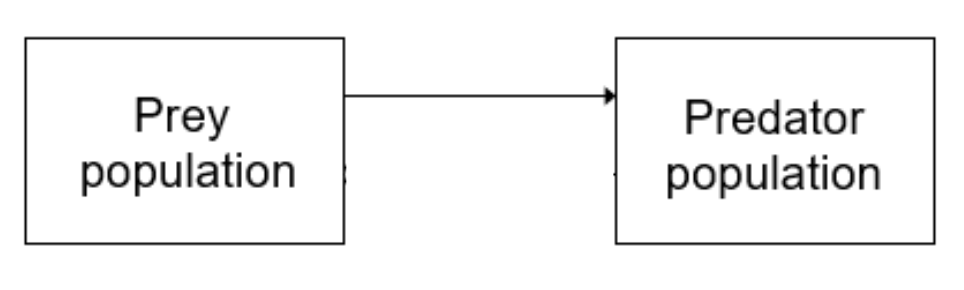 <ul><li><p><strong>Def</strong>: when the increase in one component results in a net increase in the second, linked component</p></li><li><p>shown by an arrow</p></li></ul><p></p>