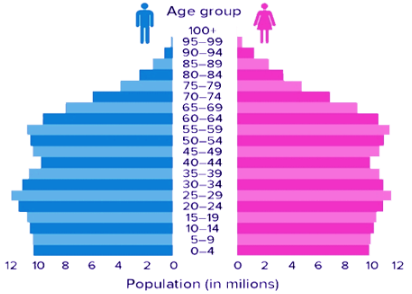 <p> graphical illustration of the distribution of a population by age groups and sex</p>