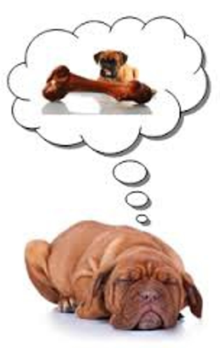 <p>learning that occurs but is not apparent until there is an incentive to demonstrate it.</p>