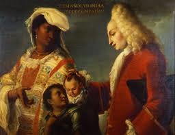<p>Spanish-commissioned paintings that showed the racial mixing of New World families; illustrated the importance of European ancestry in the social hierarchy of Latin America</p>