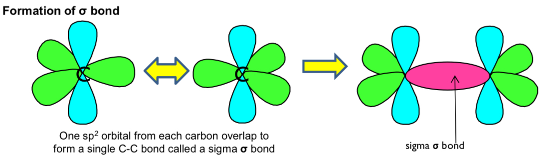 <ul><li><p>overlap of orbitals directly between the bonding atoms</p></li></ul><p></p>