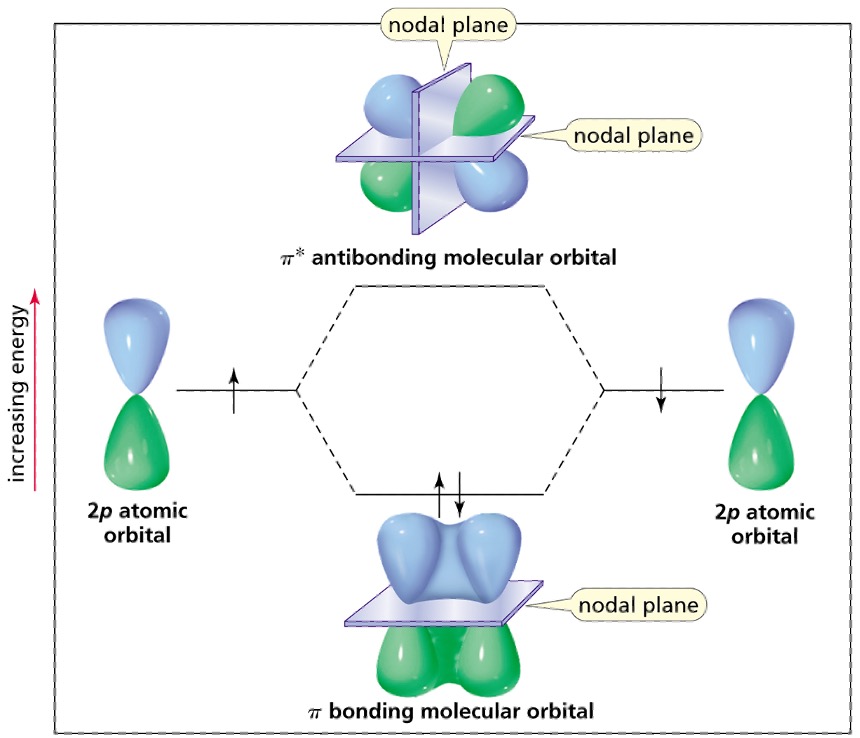 <p><strong><em><span style="font-family: Arial">π</span></em><span style="font-family: Arial"> covalent bond</span></strong></p>