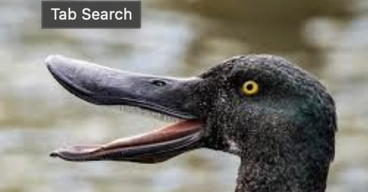 <p>beak is lined with comb like plates</p>