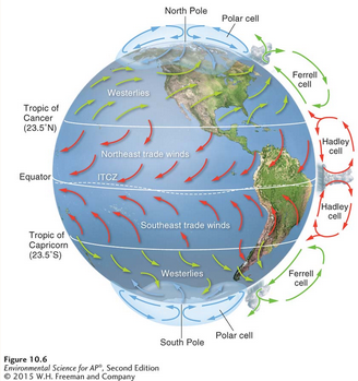 <p><span>The deflection of an object’s path due to the rotation of Earth.</span></p><ul><li><p><span>The prevailing winds of the world are produced by a combination of atmospheric convection currents and the Coriolis effect.</span></p></li></ul><p></p>