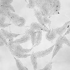 <p>what is this image showing? </p>