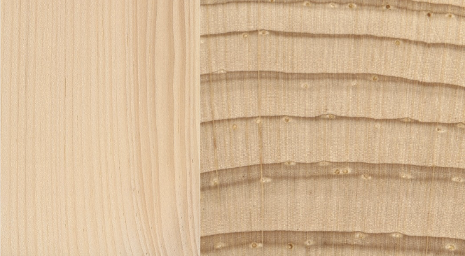 <p>conifer wood </p>