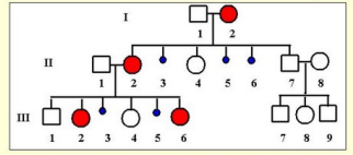 <p>what is the X-linked dominant inheritance with male lethality?</p>