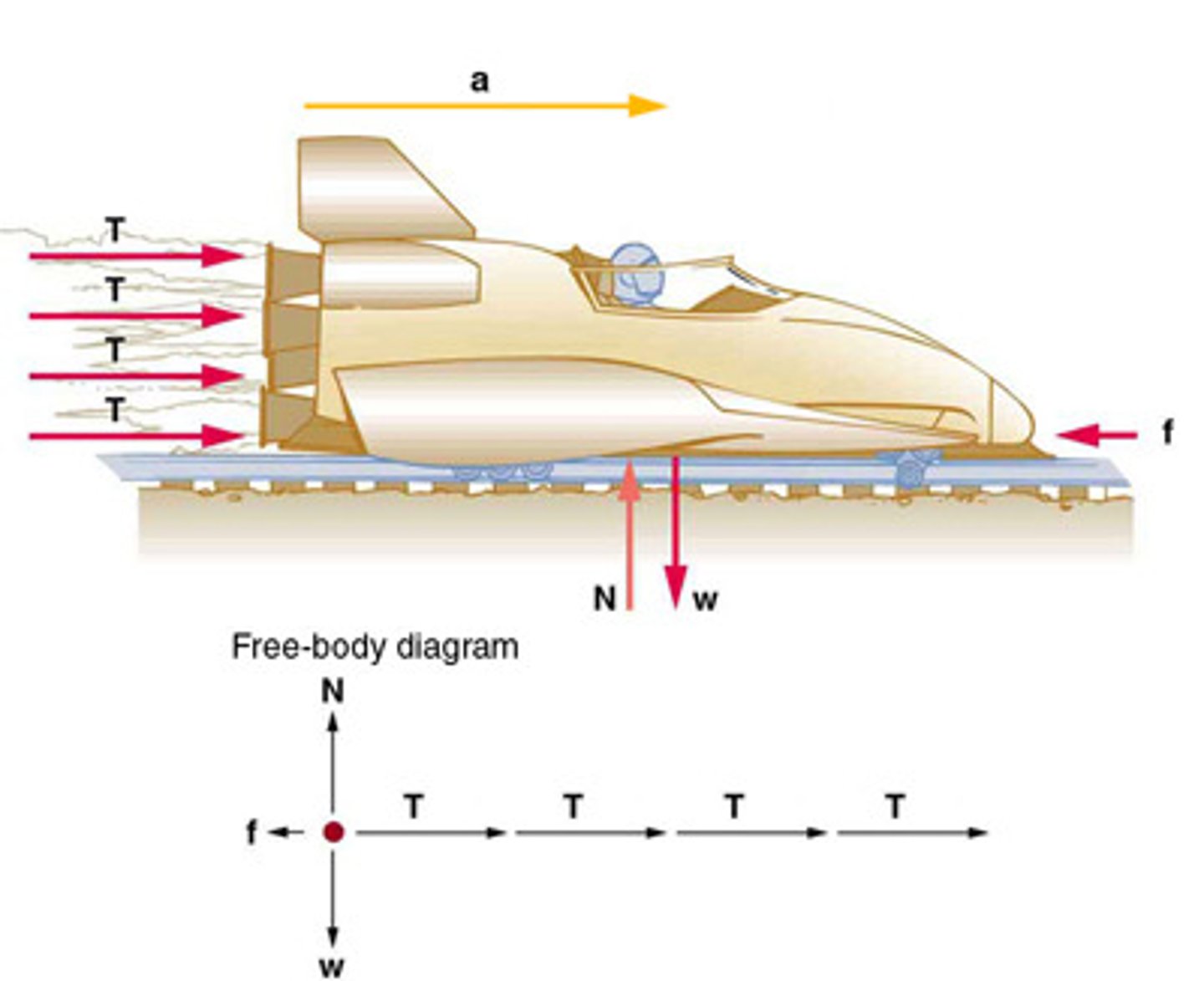 <p>The gravitational force acting on an object, calculated as w = mg, where m is mass and g is the acceleration due to gravity.</p>