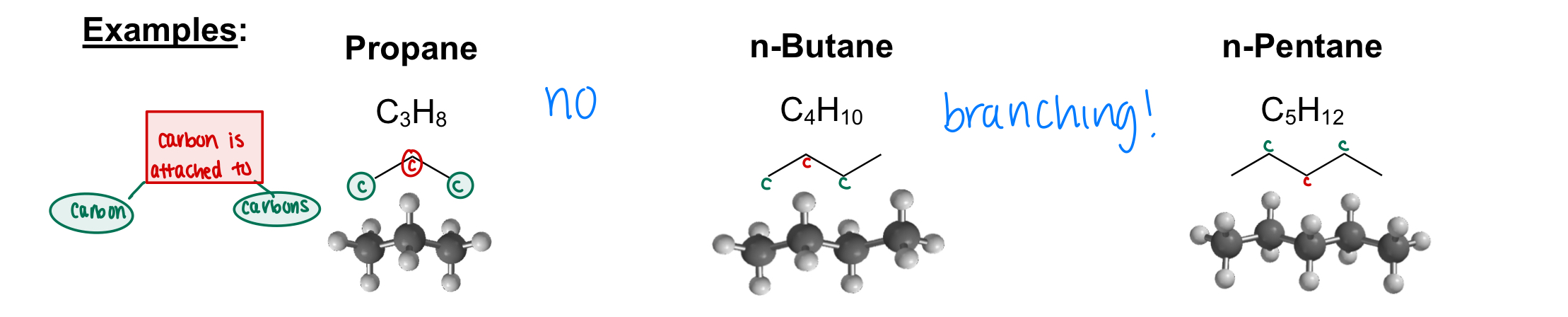 <p>Alkanes with an unbranched carbon chain </p>