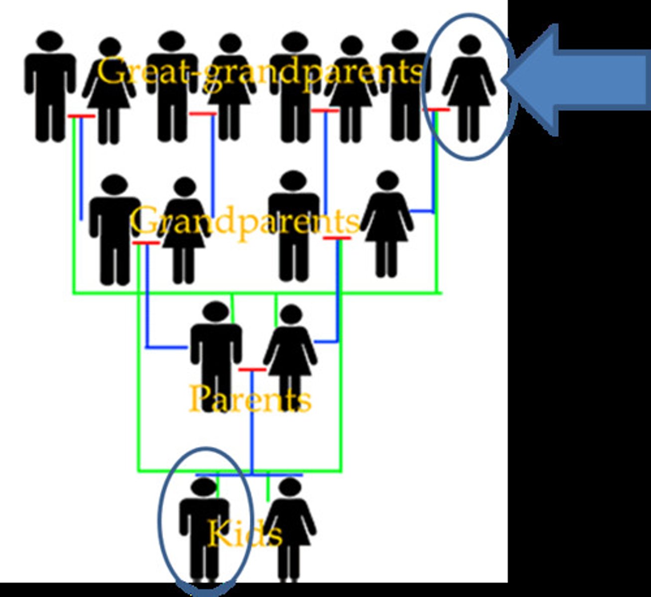 <p>great grandmother</p>