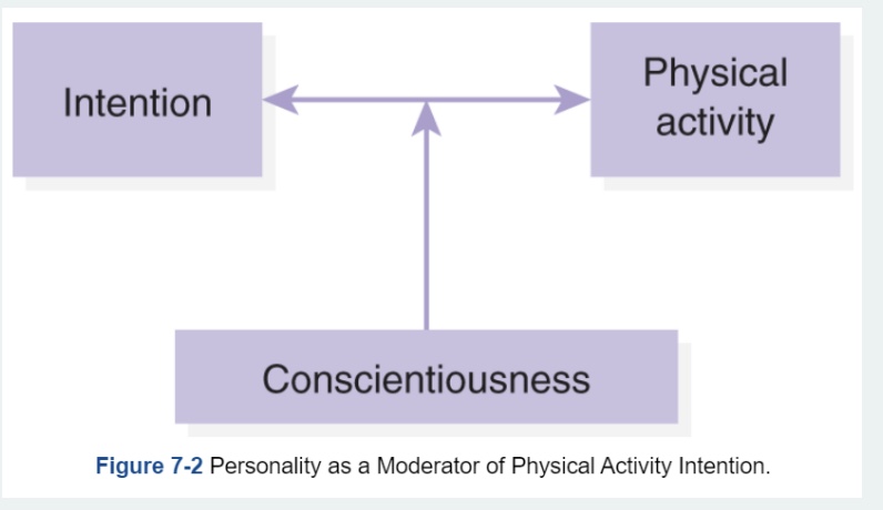 <p><mark data-color="red" style="background-color: red; color: inherit;">-Personality influences behavioral perceptions, expectations, and cognitions</mark></p><p><strong>-more <em>indirect </em>assessments/effects</strong> (through other factors such as planning, intention, motivation, etc.)</p><p>-”Intension action gap”: breaks down somewhere</p><ul><li><p>intention: pre-cuser to engagement and behavior</p></li><li><p>conscientiousness: helps keep intention (similar w/ extraversion)</p></li></ul><p></p>