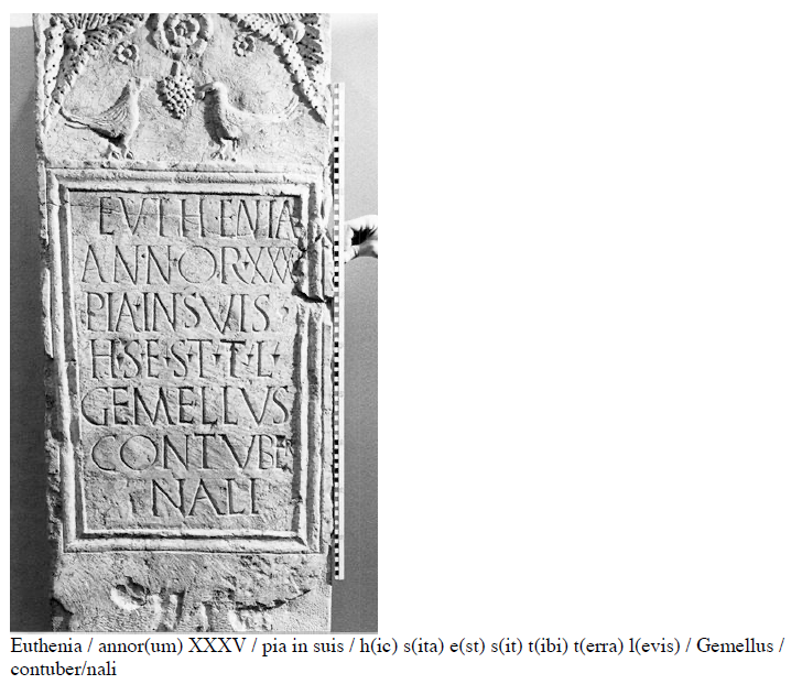 <p>Bonn, Germania Inferior, AE</p>