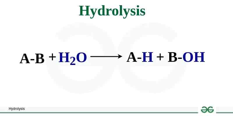 <p>Hydrolysis</p>