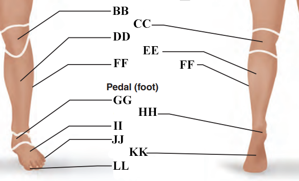 <p>Name letter FF</p>