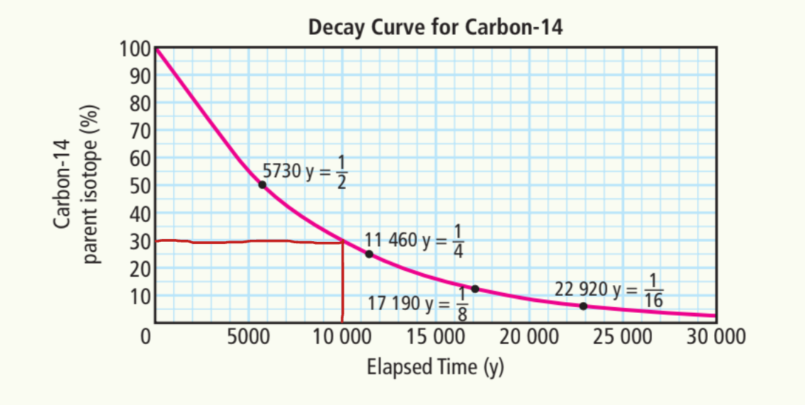 <p>30%</p>