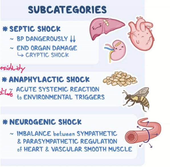 <ul><li><p>Shock:</p><ul><li><p>Septic shock d/t LPS release</p></li><li><p>Anaphylactic shock d/t severe allergic reaction </p></li><li><p>Neurogenic shock d/t trauma to the brain or spinal cord</p></li><li><p>Cardiogenic shock d/t heart failure or arrest</p></li><li><p>Hypovolemic shock d/t hemorrhage</p></li></ul></li><li><p>Diurnal effects (Nadir) </p></li><li><p>Therapeutics for HTN (at night before bed) </p></li></ul><p></p>