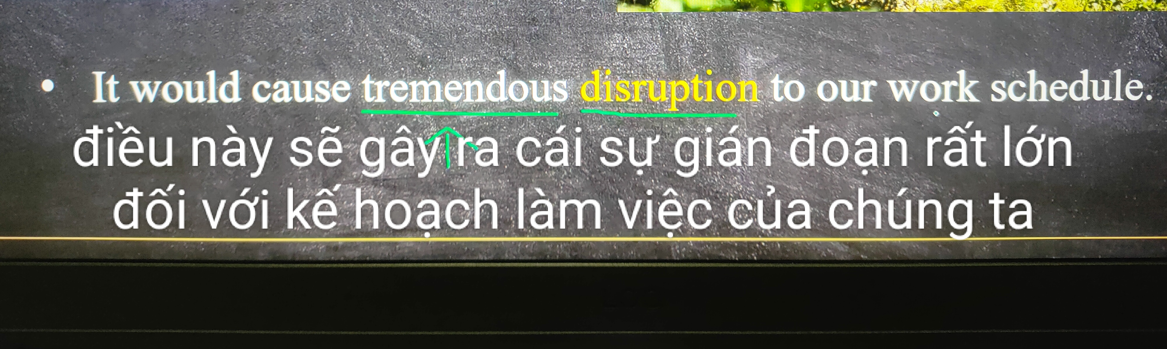 <p>sự cản trở, sự gián đoạn</p>