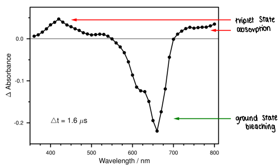 <p>Where the change in absorption is positive, there is triplet state absorption. These are T<sub>1</sub> bands.</p><p>Where change in absorption is negative, there is ground state bleaching. These are the S<sub>0</sub>&nbsp;bands.</p>