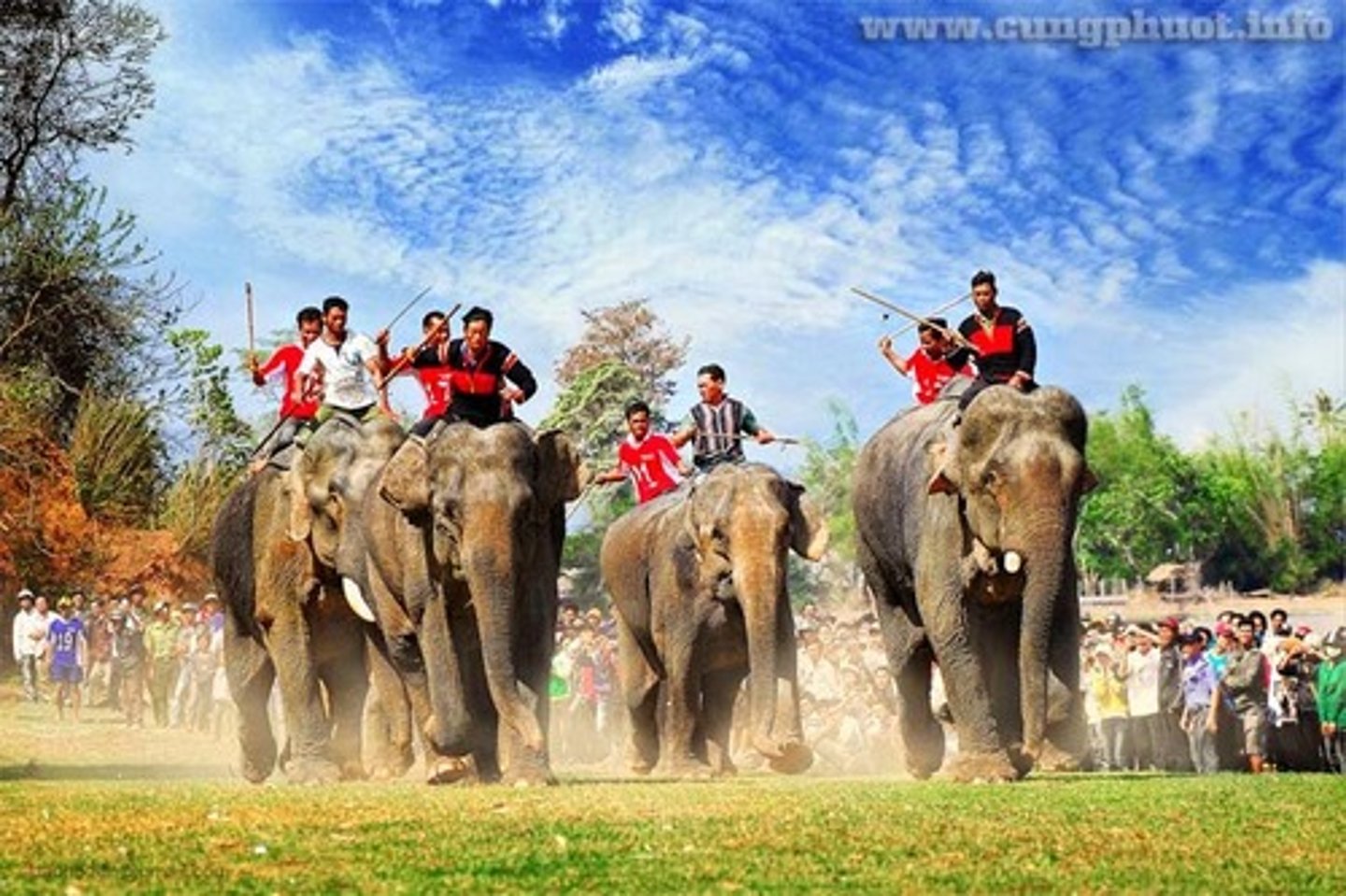 <p>n • /ˈɛlɪfənt reɪs/ • A competition where elephants are raced. • Đua voi • "The elephant race attracted a large crowd of spectators."</p>