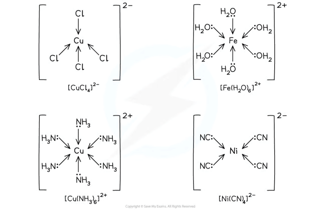 <p>Can <strong>form only one</strong> dative bond.</p><ul><li><p>Examples: <strong>H₂O, NH₃, Cl⁻, CN⁻</strong></p></li></ul><p></p>