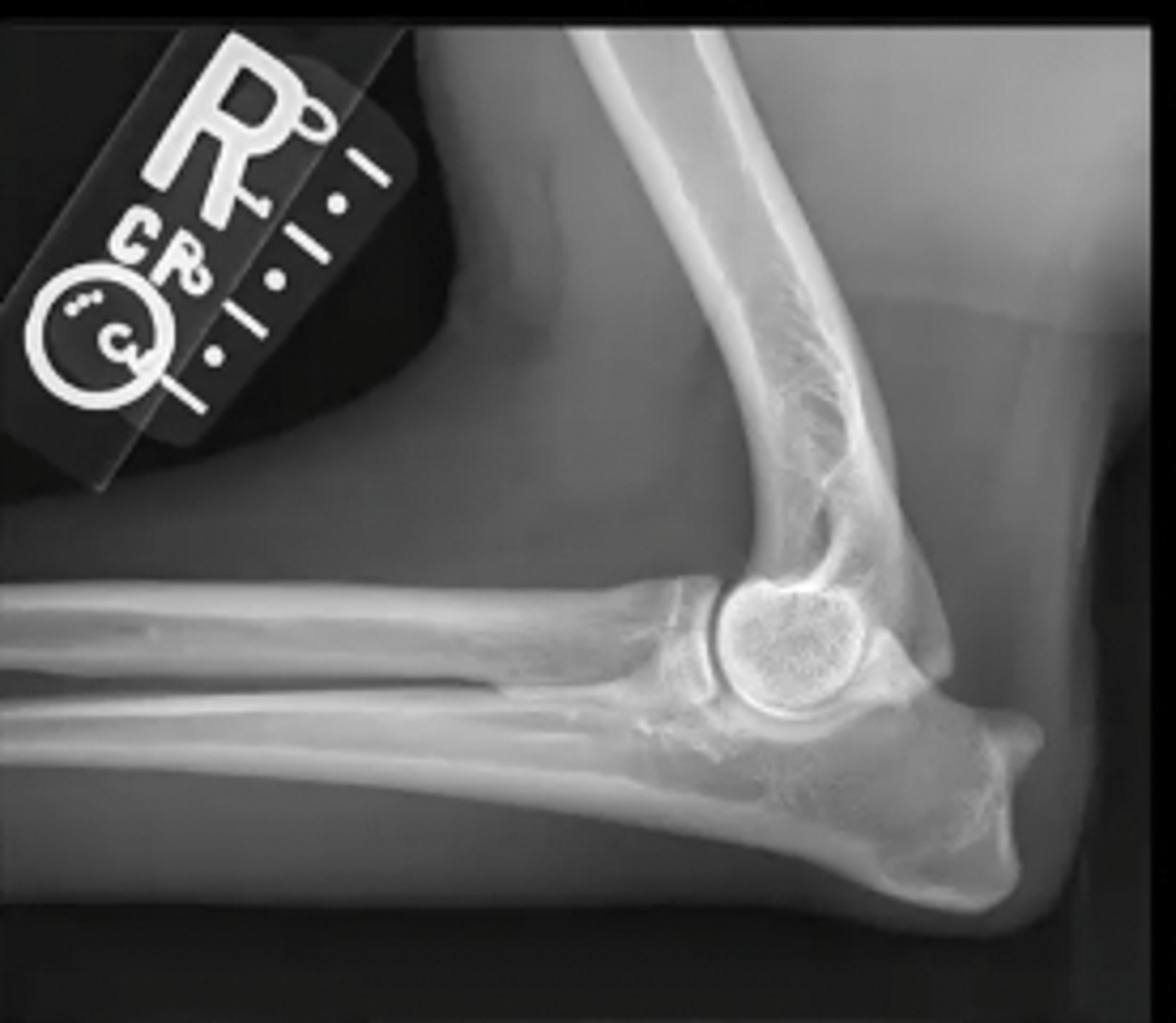 <p>What is the view of this image?</p>