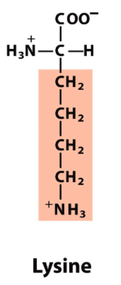 <p>pK<sub>R</sub>=10.53</p>