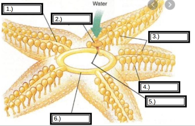 <p>What feature is #6?</p>