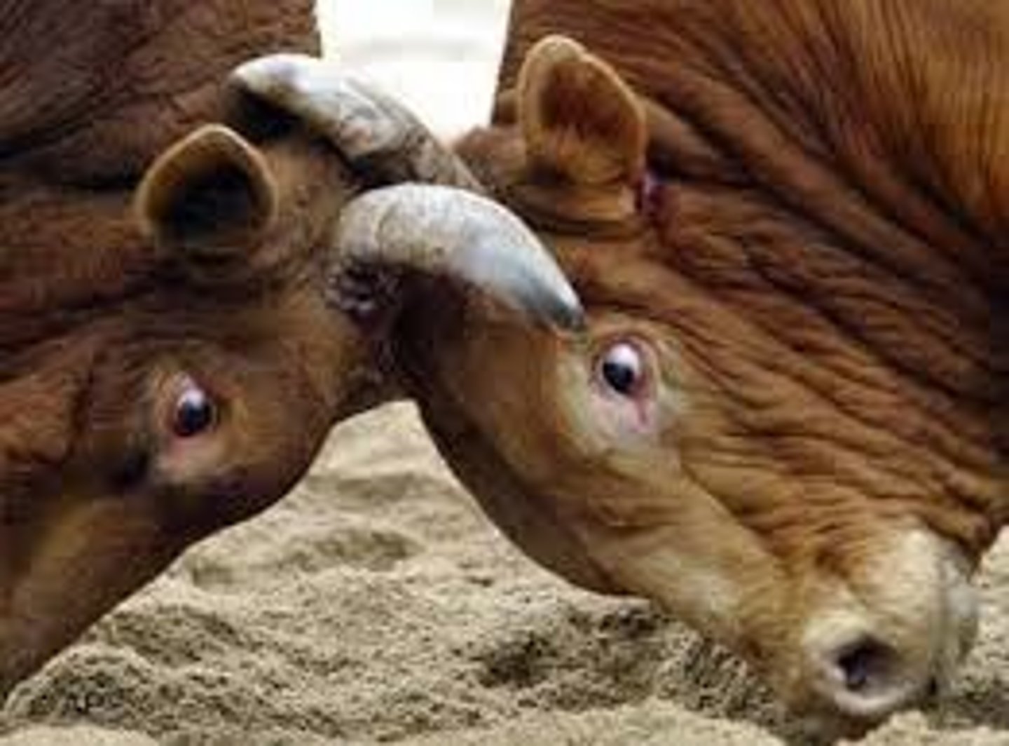 <p>làm trái ý muốn của ai, chống lại , phản đối</p><p>. Phản đối / Chống lại (một người hoặc ý kiến)</p><p>Ví dụ: "I don't want to go against my parents."</p><p>(Tôi không muốn làm trái ý/chống lại bố mẹ mình.)</p><p>2. Đi ngược lại / Trái với (quy luật, niềm tin, quy định)</p><p>Ví dụ: "His action goes against the company's rules."</p><p>(Hành động của anh ta đi ngược lại quy định của công ty.)</p><p>3. Bất lợi cho ai đó (thường dùng trong thi đấu hoặc kiện tụng)</p><p>Ví dụ: "The court's decision went against him."</p><p>(Quyết định của tòa án đã gây bất lợi cho anh ấy.)</p>