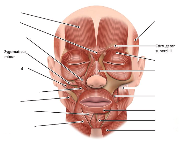 <ol start="4"><li><p></p></li></ol><p></p>