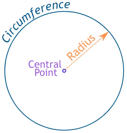 <p>line segment which connects the center of a circle to its circumference</p>