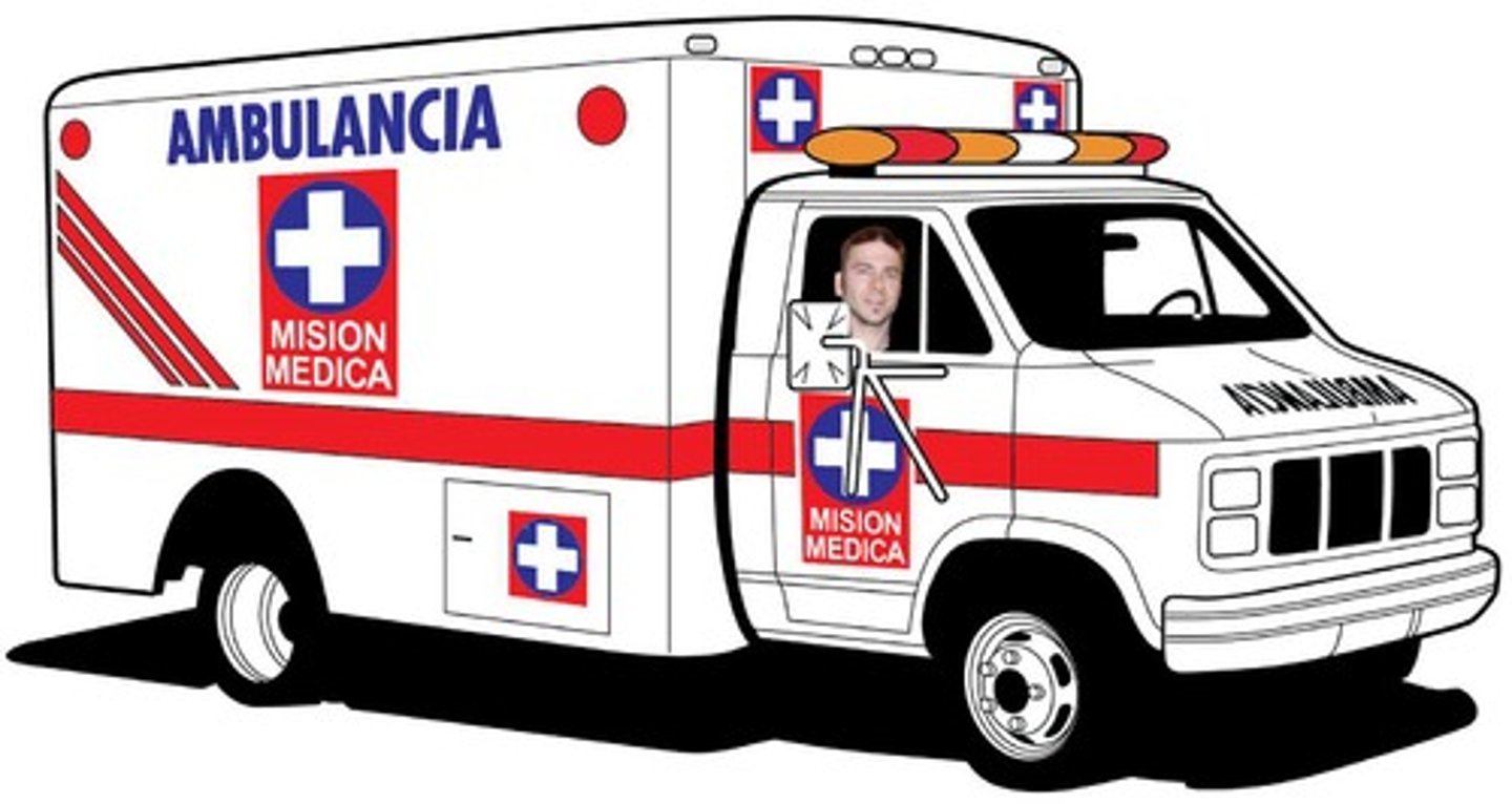 <p>The ambulance came quick</p>