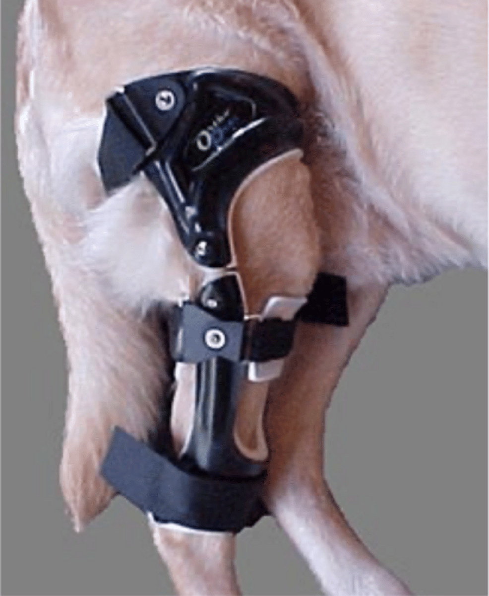 <p>when might rest +/- a splint be applicable in meniscal injury tx.</p>