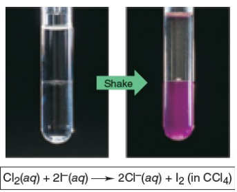 <p>B. Cl2 will therefore oxidize aqueous solutions of iodide salts (I–) to I2 ... ...but the corresponding reaction of I2 does not occur: I2 does not oxidize Cl– ions</p><p>Cl2 is a stronger oxidizing agent than I2</p>