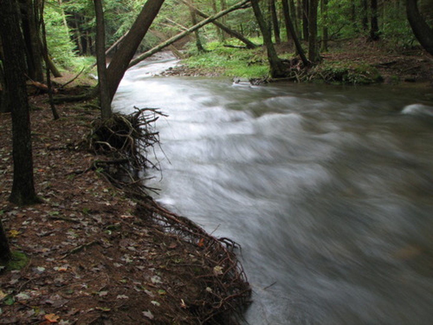 <p>the direction moving with the flow of a water source (from source to mouth)</p>