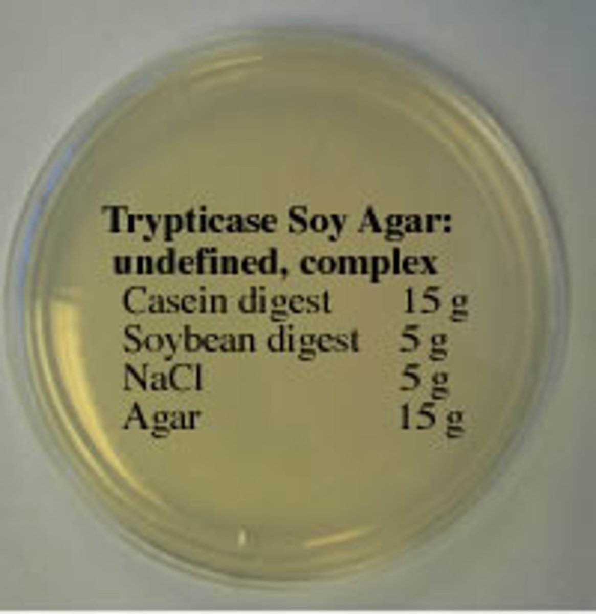 <p>Trypticase Soy Agar (TSA)</p>