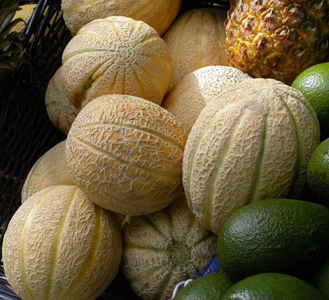 <p>melon</p>