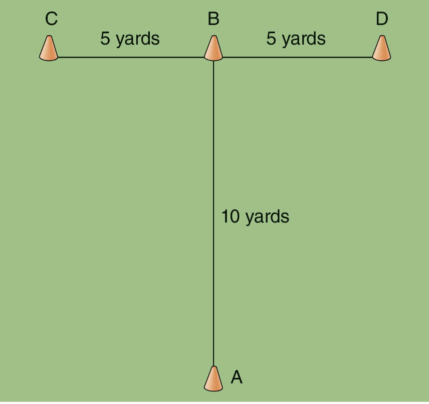 <p>_____: begins at point A, sprints to point B touches base of cone with right hand, shuffles left and touches base of cone C with left hand, shuffles right and touches base of cone D with right hand, shuffles left and touches base of cone B with left hand, then runs back ward past point A </p>