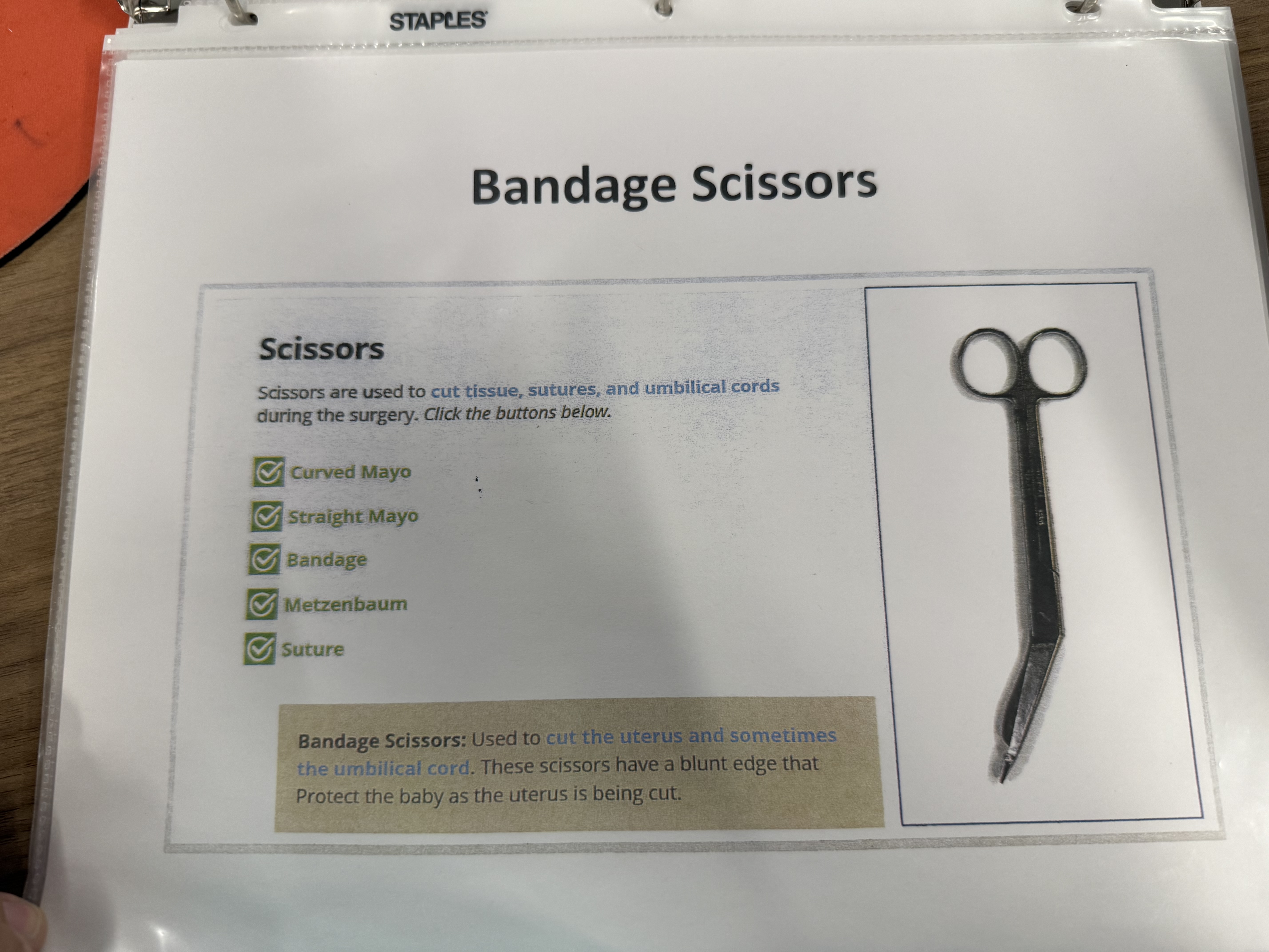 <p>Bandage Scissors </p>