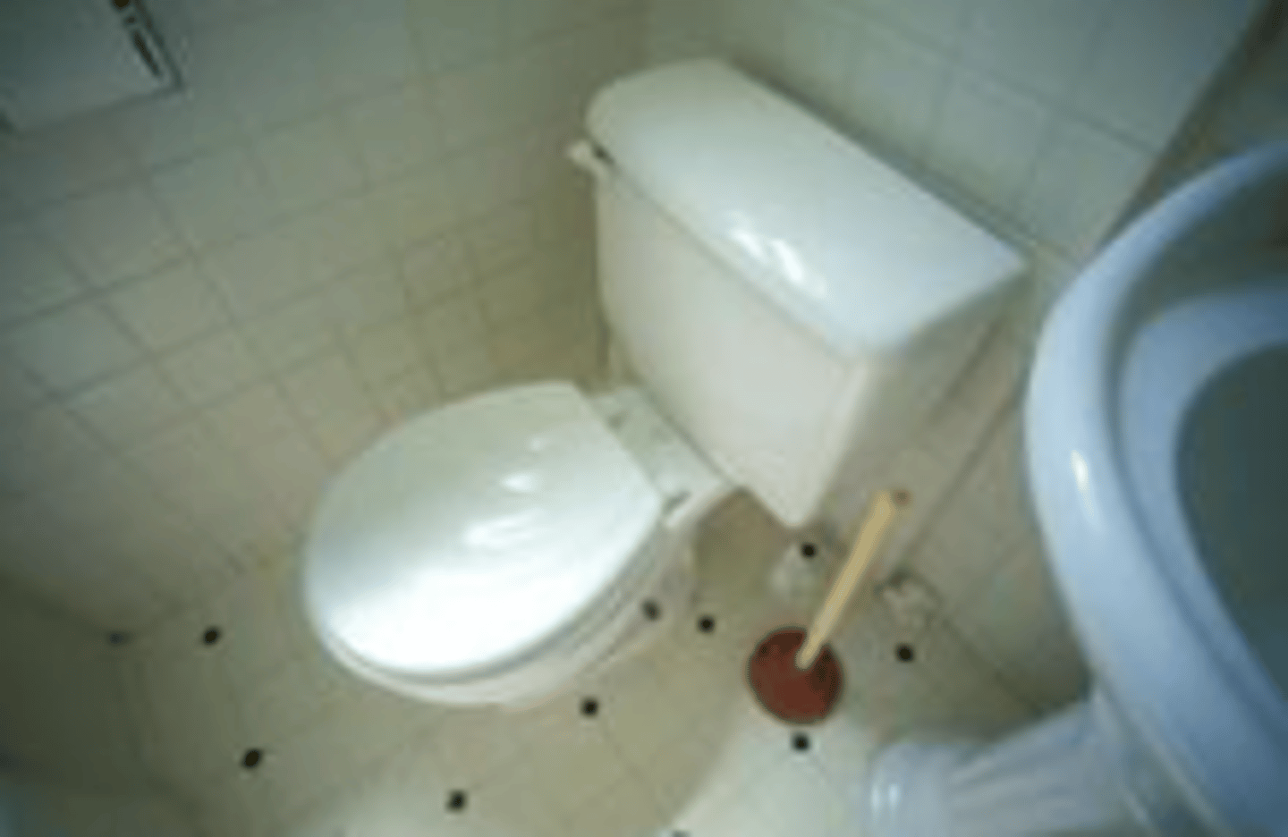 <p>______ is a substance produced by the body that is not needed so it is expelled.</p>