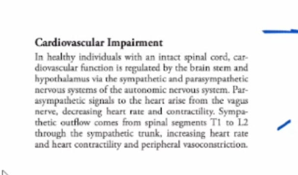 <ul><li><p>C</p></li></ul><p></p>