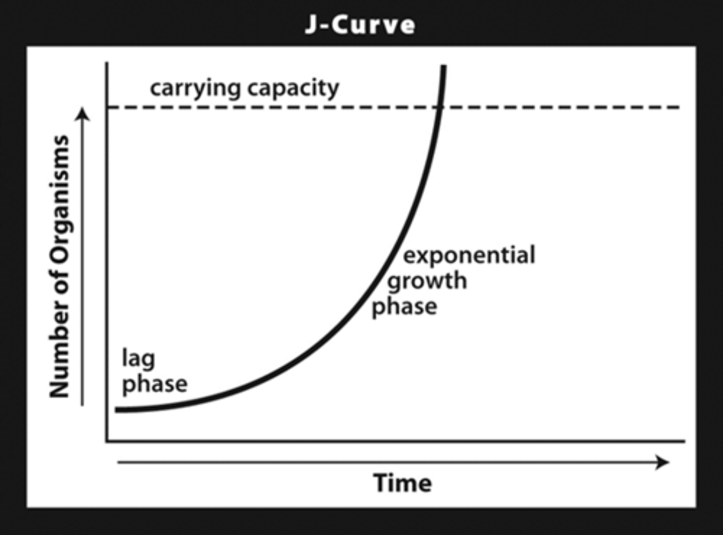 <p>- population growth following the j-curve increases exponentially up to or even beyond the carrying capacity of the environment</p><p>- this pattern is frequently seen in populations such as lemmings, algal blooms, and certain insects</p>
