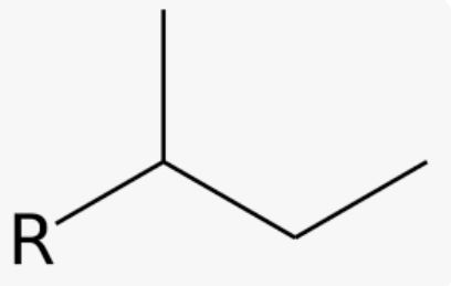 common name for 1-methylpropyl