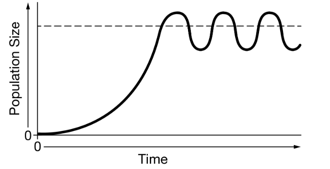 <p>One that reaches K-capacity and then stabilizes </p>