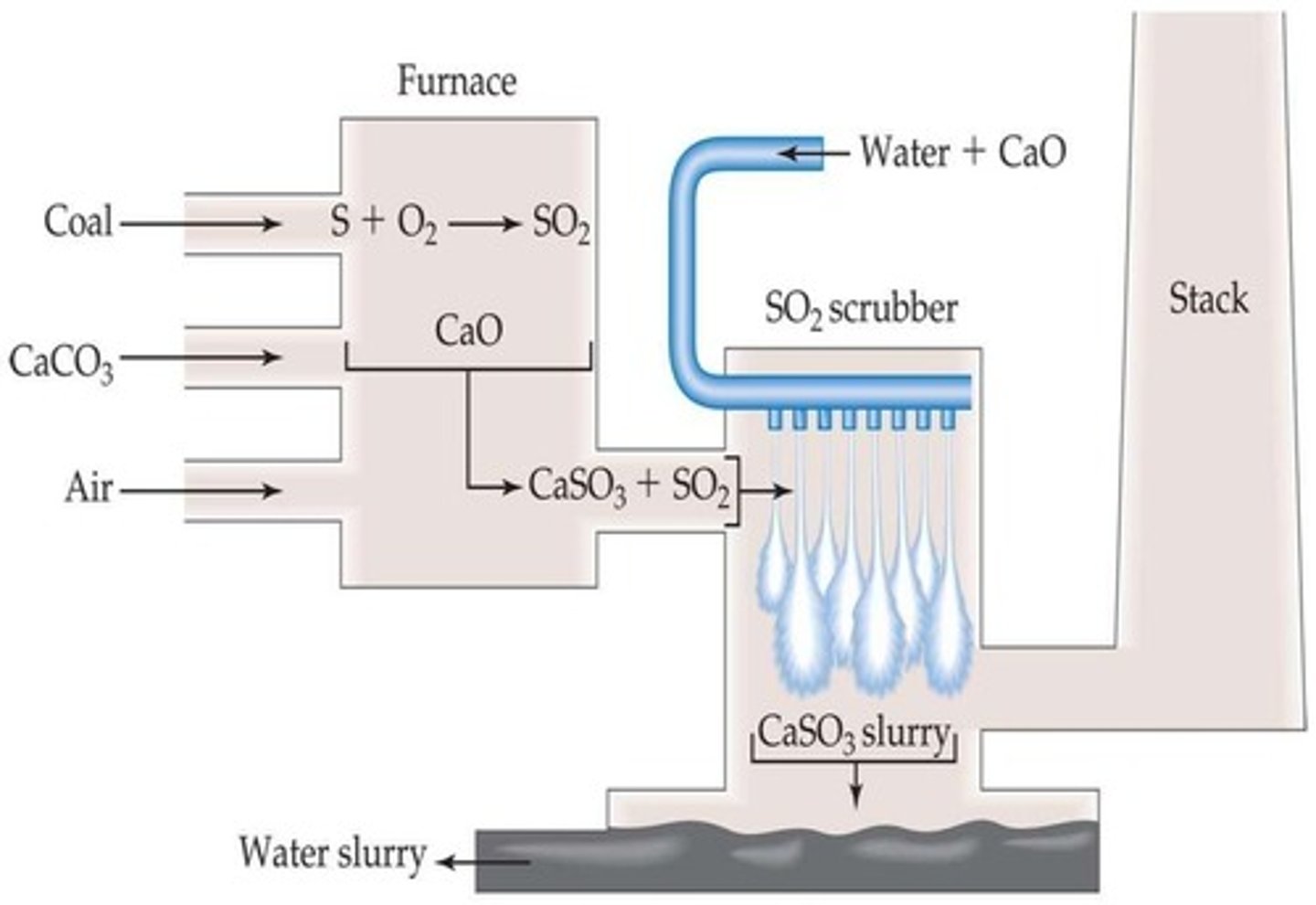 <p>CaCO3 is converted to CaO, which reacts with SO2 to form calcium sulfite.</p>