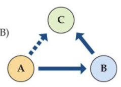 <p>Occur when the relationship between two species is mediated by a third or more species</p>