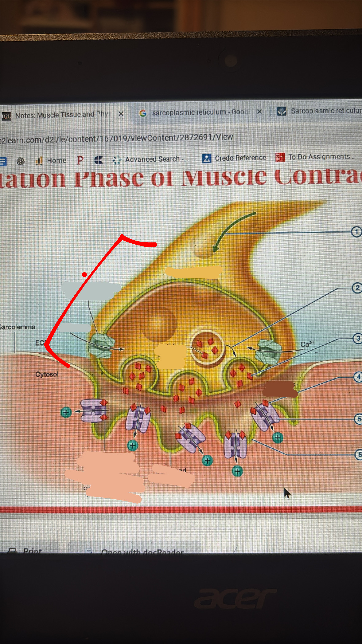 knowt flashcard image