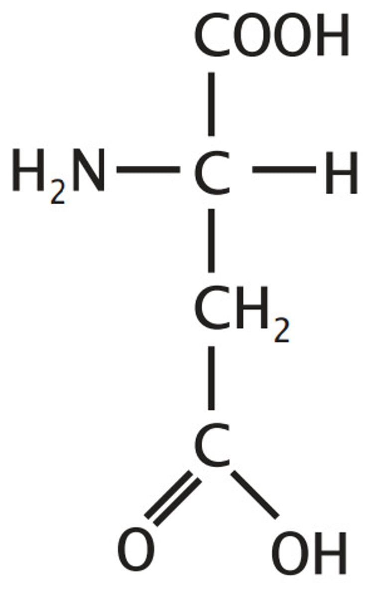 <p>Acidic, Negatively Charged at physiological pH, Carboxylate (pKa ~4)</p>