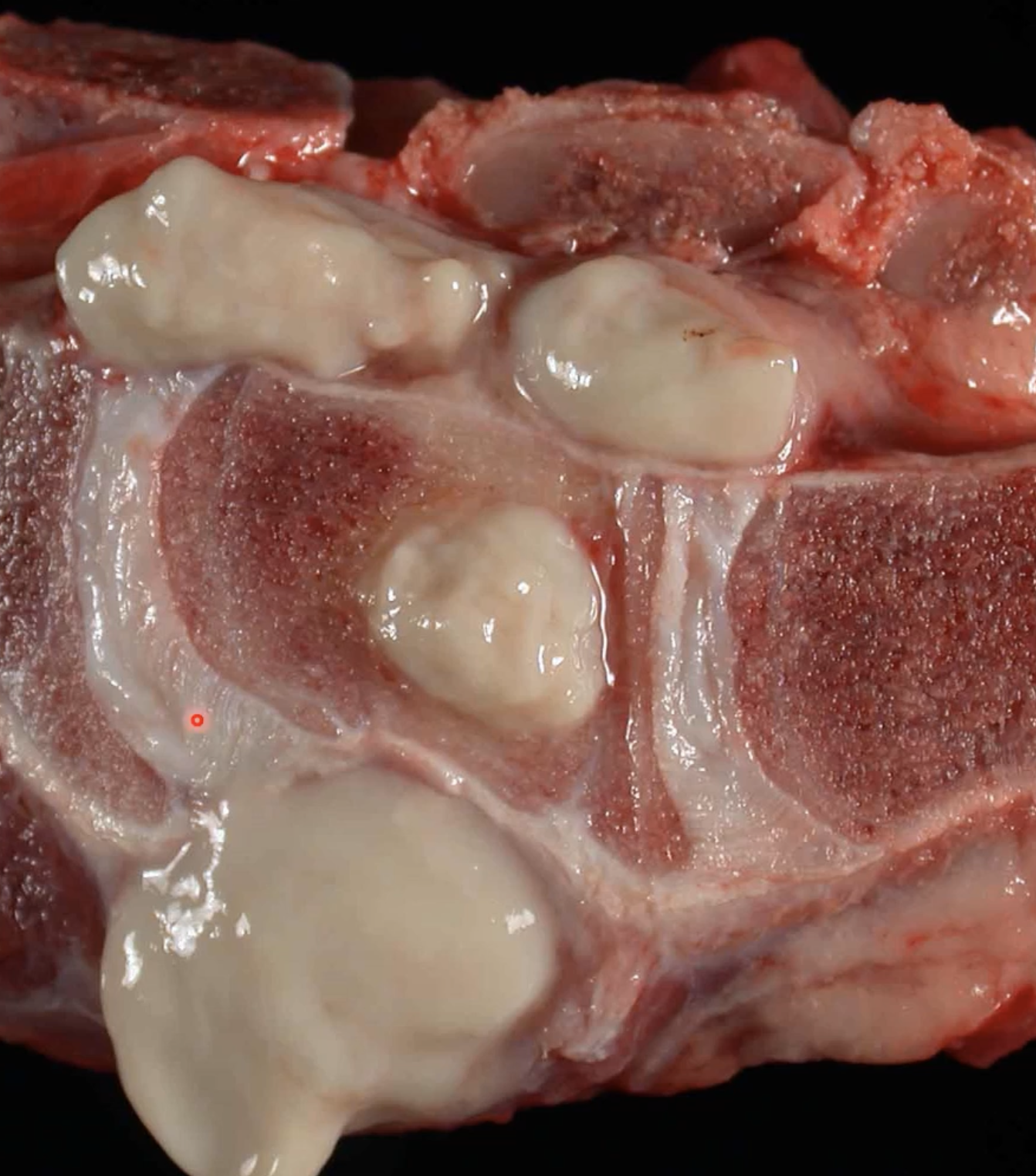 <p>what is this?</p>